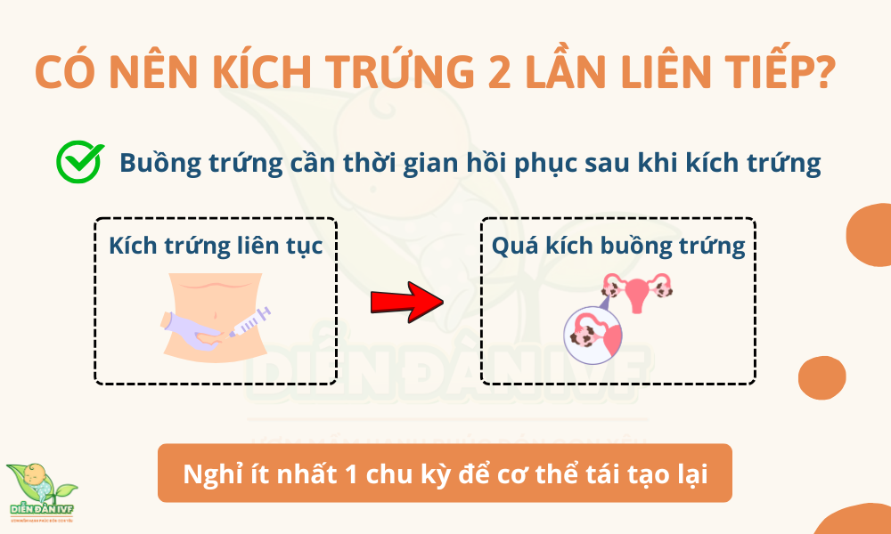 Có nên kích trứng 2 chu kì liên tiếp?