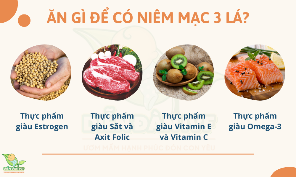 Ăn gì để có niêm mạc 3 lá?