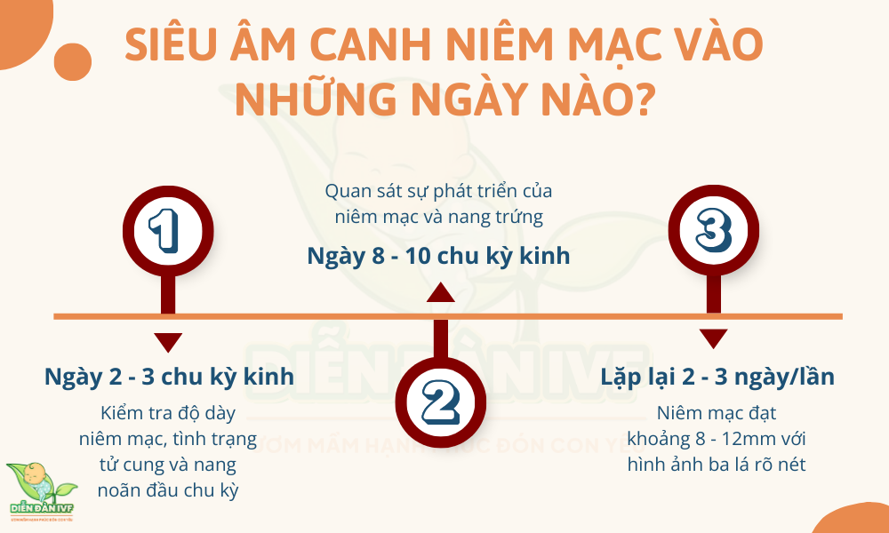 Siêu âm canh niêm mạc vào những ngày nào?