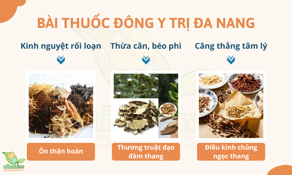 Bài thuốc Đông Y trị đa nang buồng trứng
