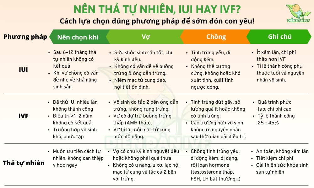 Trường hợp nào nên “thả tự nhiên”? Trường hợp nào nên làm IUI/IVF?