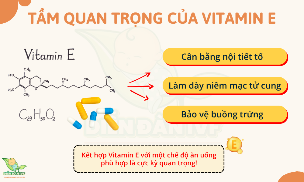 Tầm quan trọng của Vitamin E với sức khỏe sinh sản phụ nữ