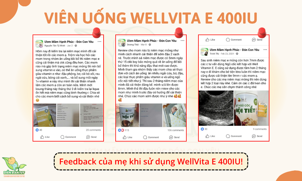 Viên uống WellVita E 400IU