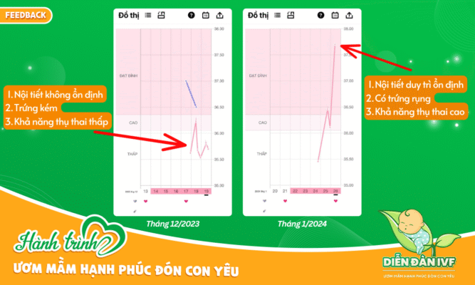 Chị Thúy An bồi bổ theo phác đồ chuyên sâu của chuyên gia sinh sản Minh Thúy