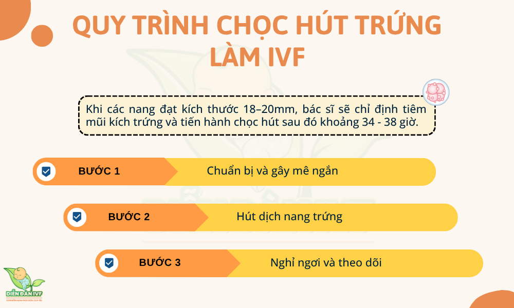 Quy trình chọc hút trứng làm IVF