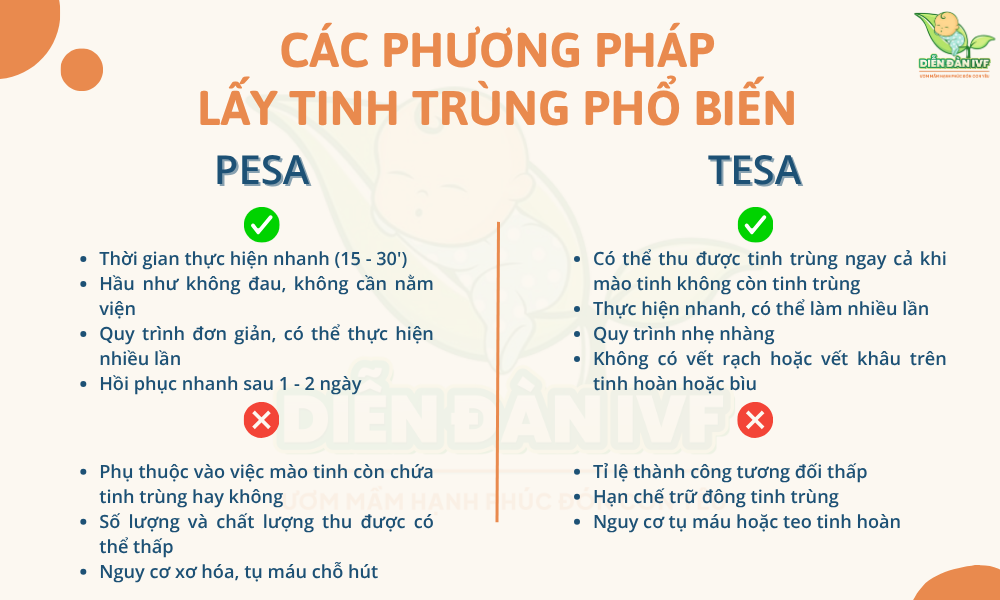 Các phương pháp lấy tinh trùng phổ biến