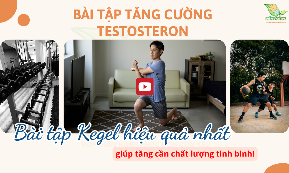 Bài tập cho bố chuẩn bị lấy tinh trùng làm IVF