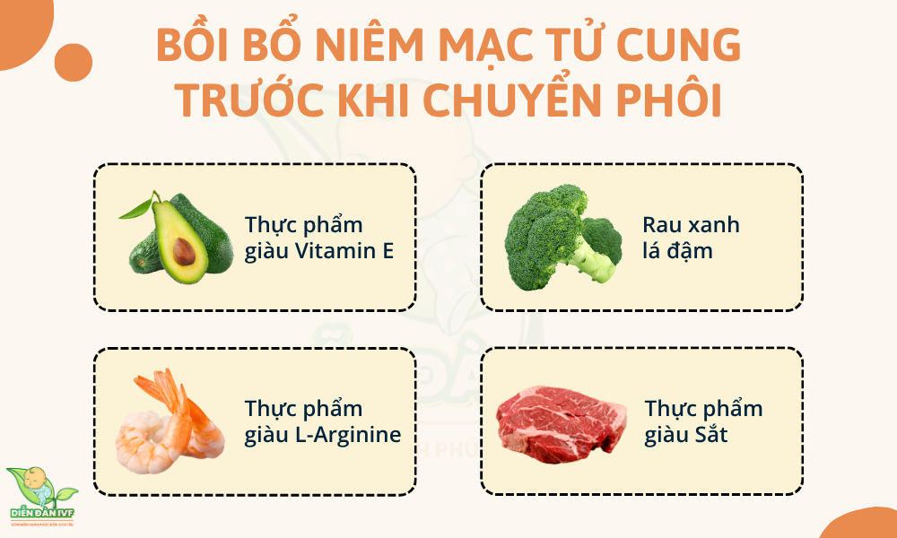 Bồi bổ niêm mạc tử cung trước khi chuyển phôi